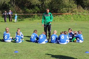 开云体育app-中国篮球教练员技术战术创新能力提升路径，篮球教练发展