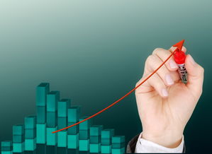 开云体育备用链接-运动项目职业路径设计与发展研究，运动职业化