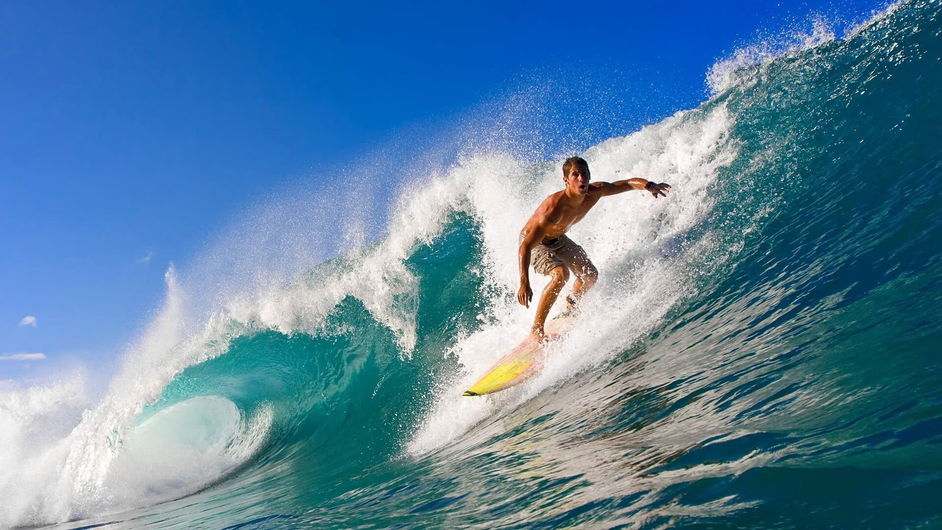 开云体育平台-“武汉马拉松赛：赛道上的速度与激情”