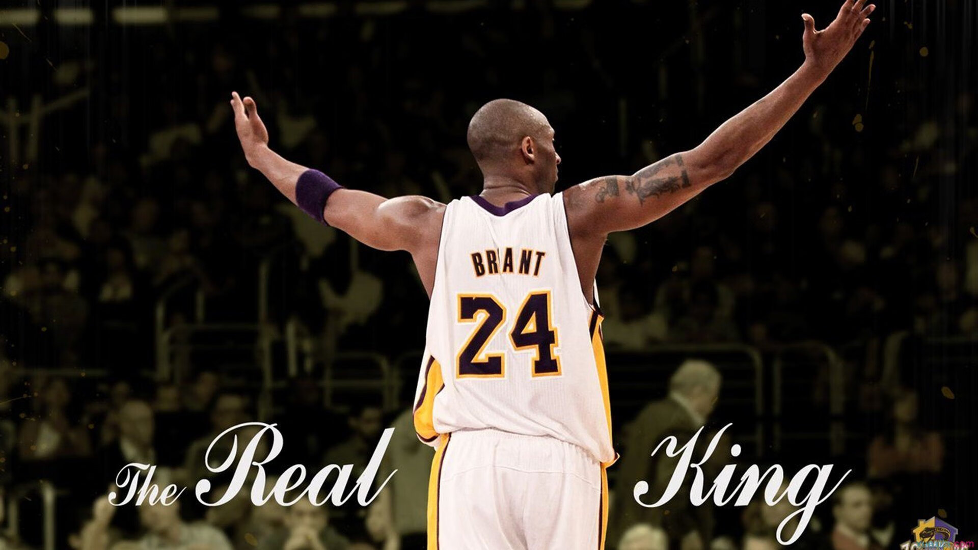 中国男篮再负强敌 球迷理性看待过程，中国男篮众人谈